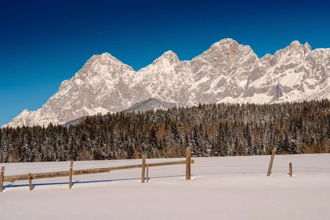 Masiv Dachstein v zimě za plotem a lesem – aktuality z Ramsau am Dachstein
